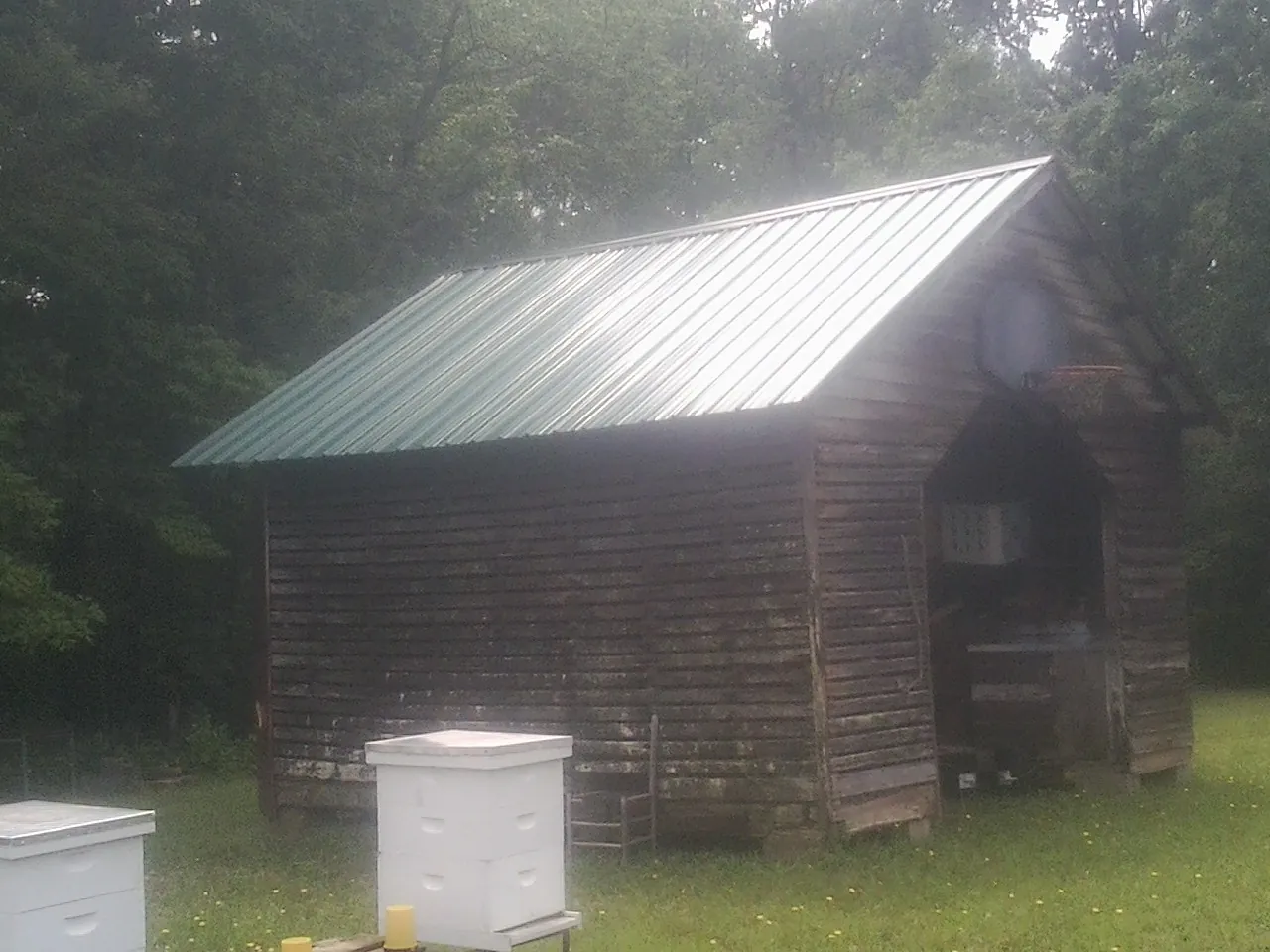 Green metal roof on a weathered barn beside stacked beehives in Pacific Junction