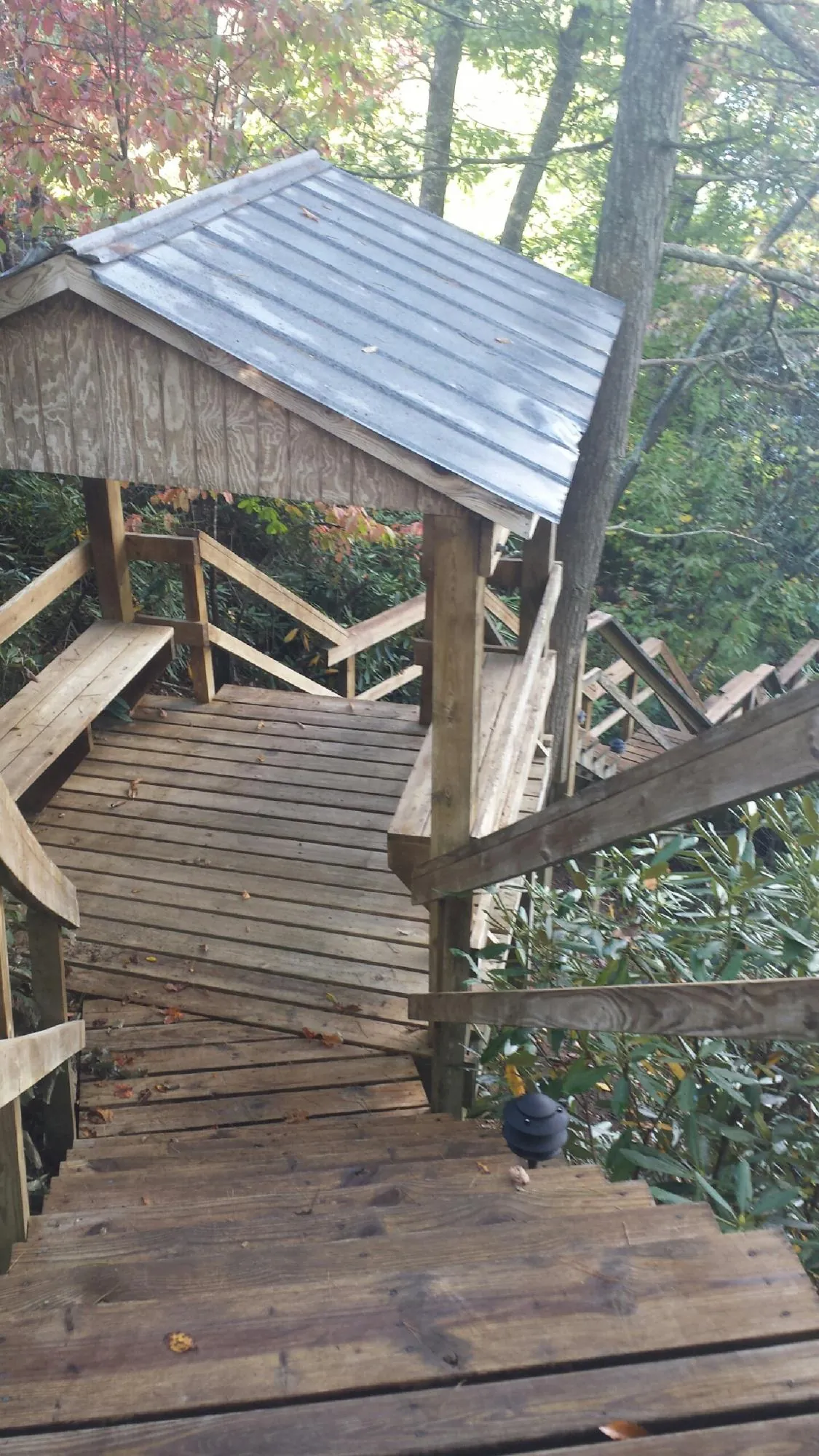 Metal roofed shelter over wooden steps on a wooded walkway — Skylight Repair & Installation work by our crew in Pacific Junction