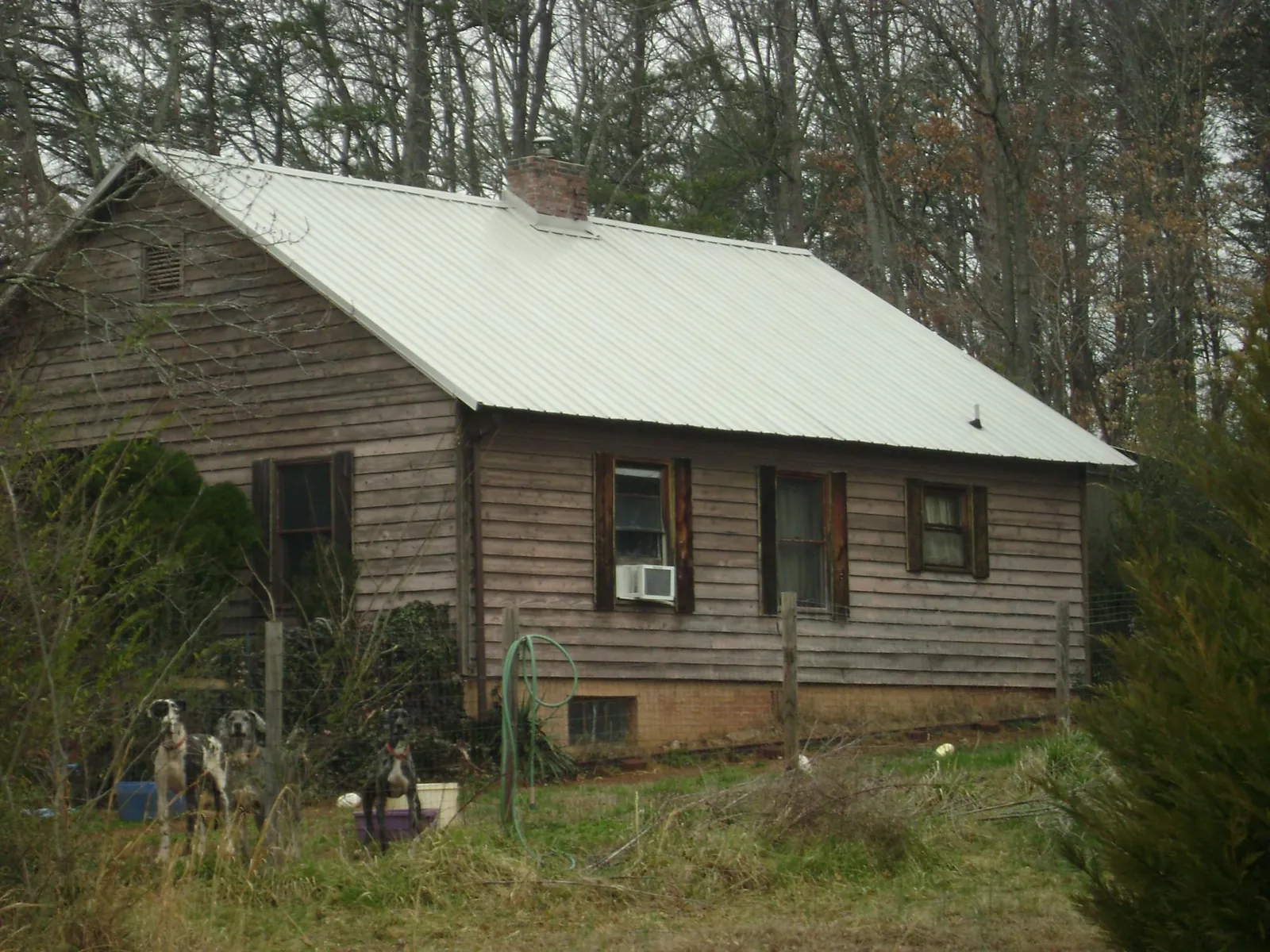 White metal roof on an old wood sided farmhouse, from a Metal Roof Installation job in Pacific Junction